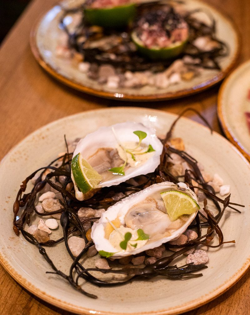 Two oysters on a plate