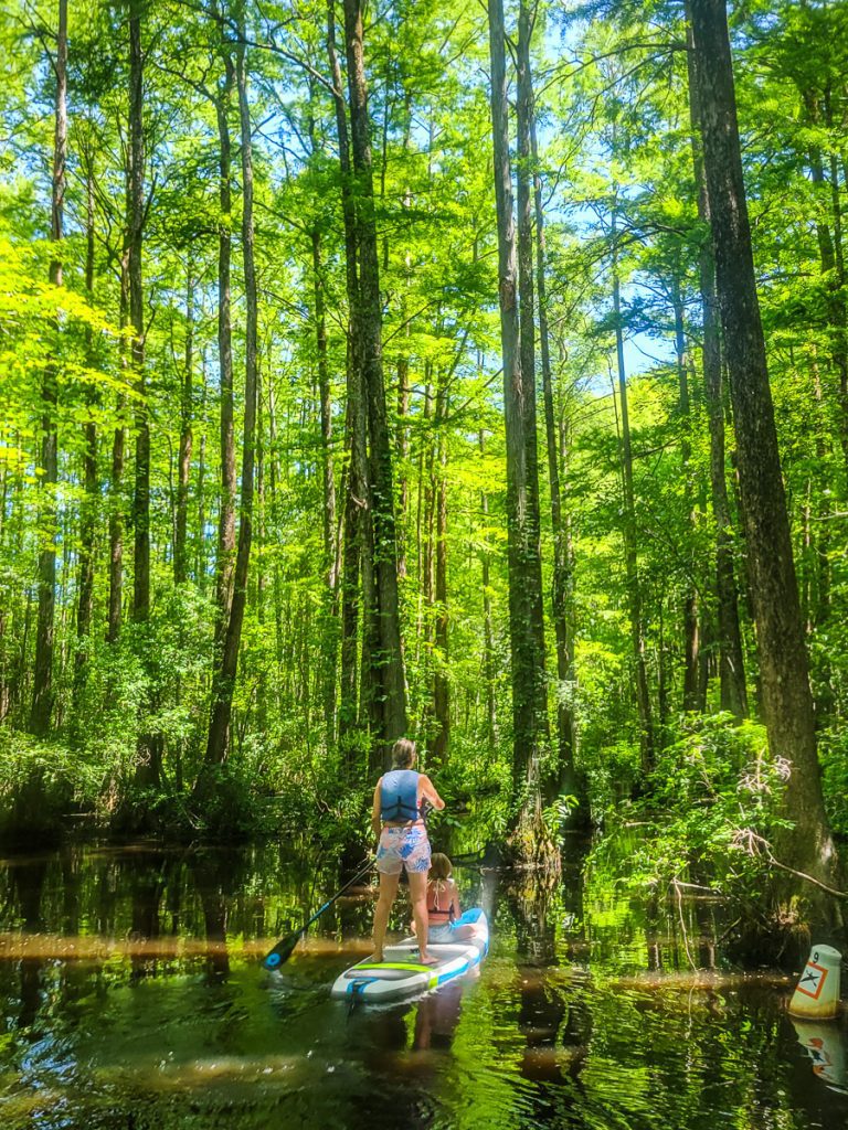 Mom and daughter on a paddle board in a swamp