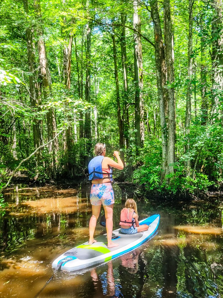 Mom and daughter on a paddle board in a swamp