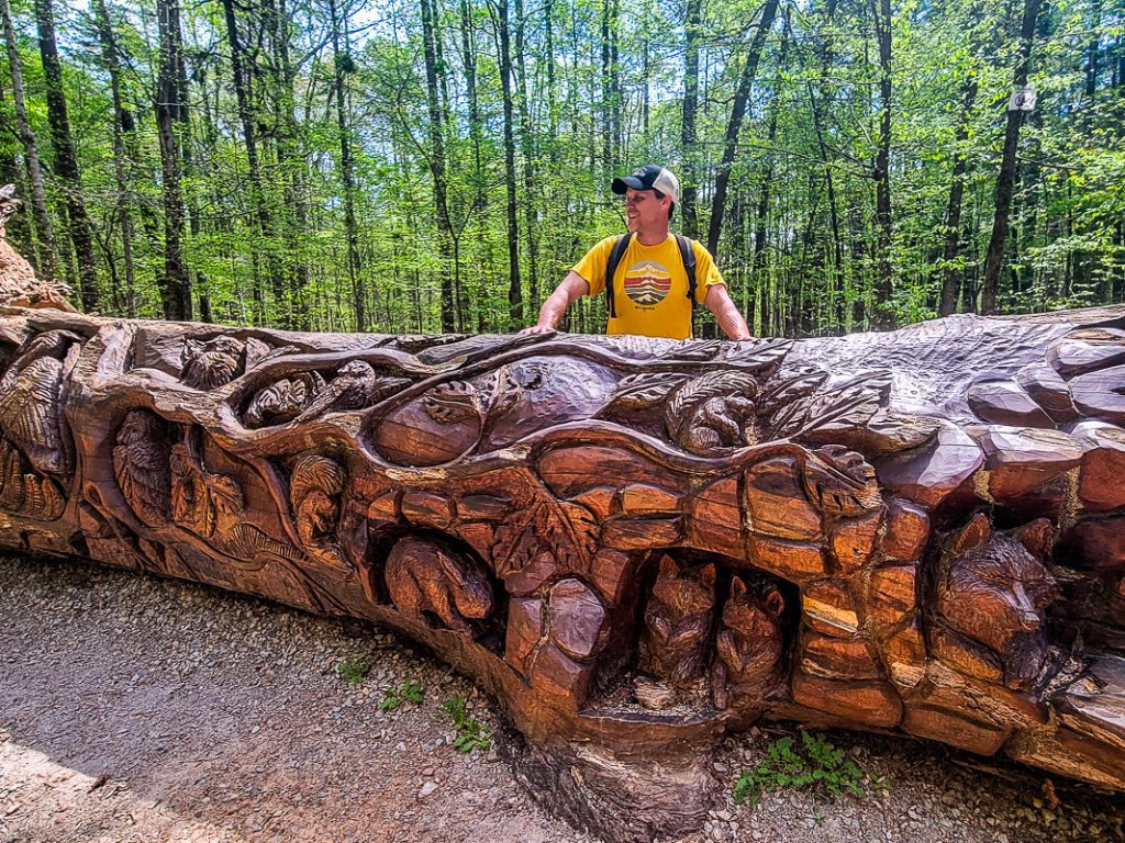 Man standing behind a tree with art carved by a chainsaw