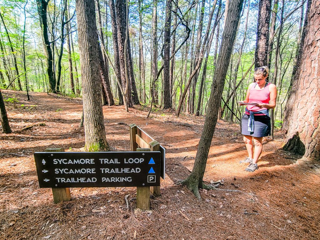 Woman ready a map in a forest