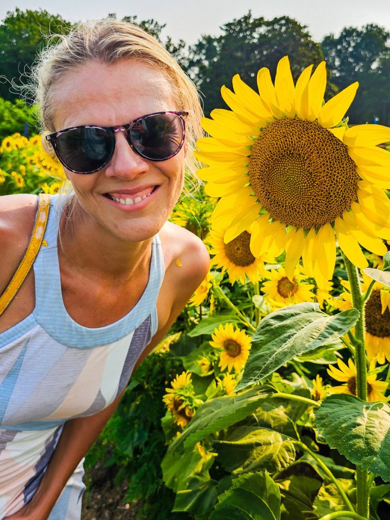 Lady getting a photo with a sunflower