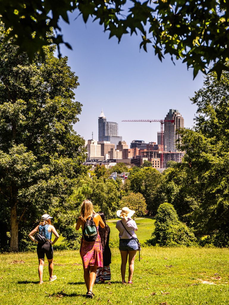 People standing in a park taking photos of a city skyline