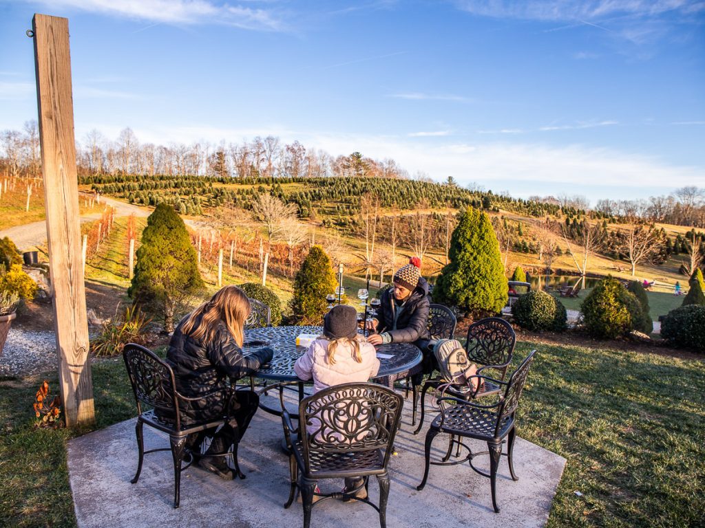 People sitting at a table in a winery in the mountains