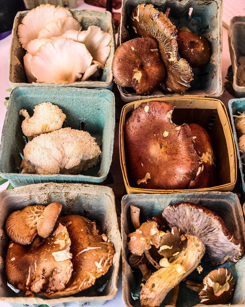 Mushrooms on display at a market