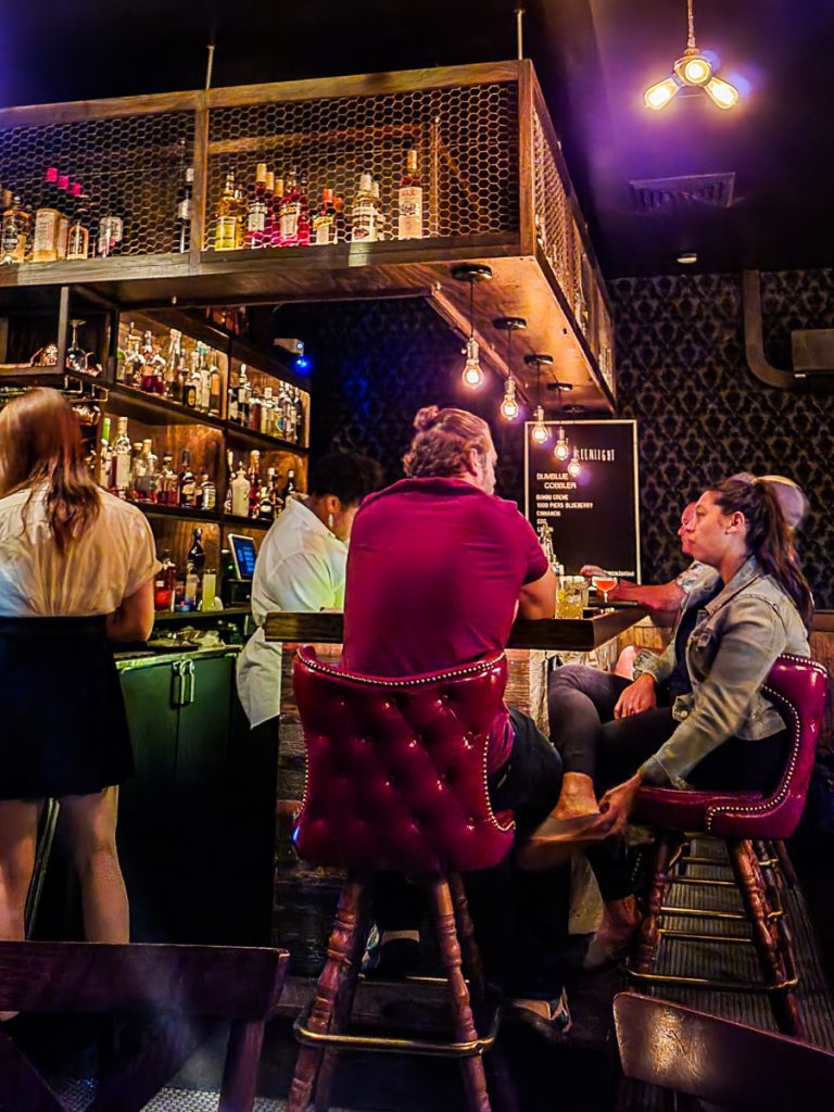 People sitting at a bar drinking