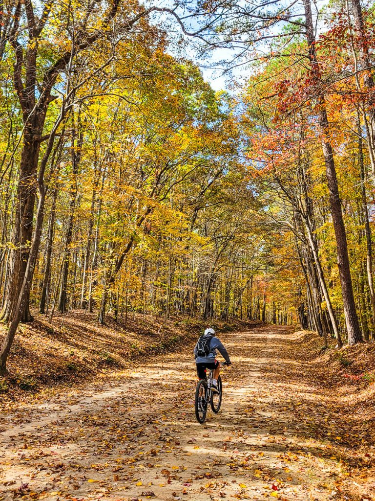 Man riding a bike on a nature trail