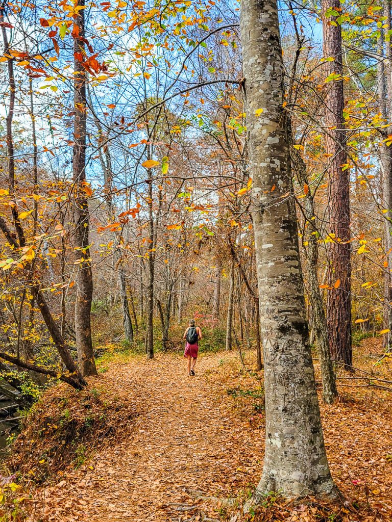 Woman walking a nature trail through the woods
