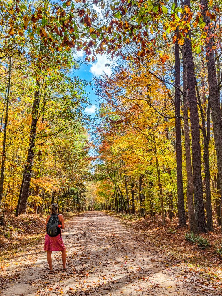 Woman standing on a nature trail in the woods