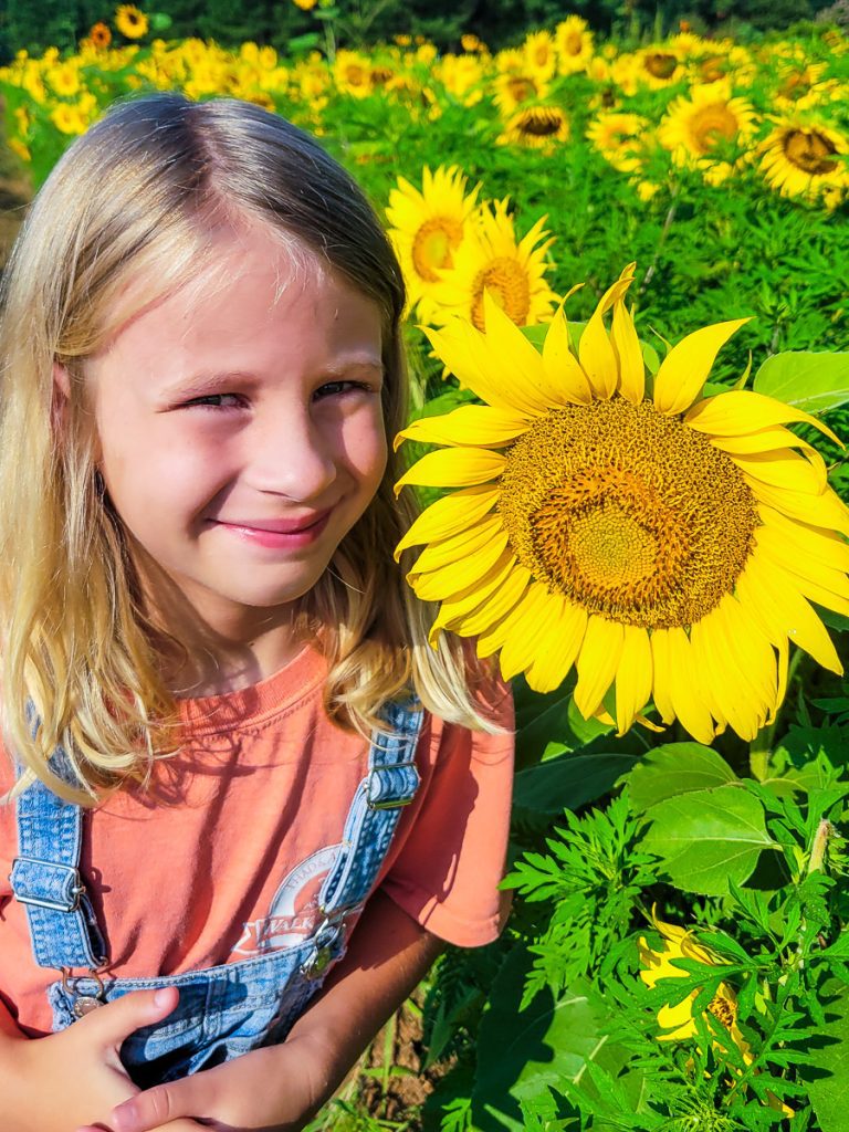 Young girl next to a sunflower