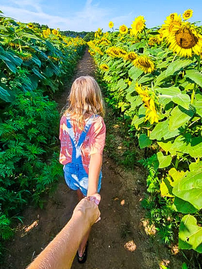 Girl holding her moms hand as she walks between sunflowers