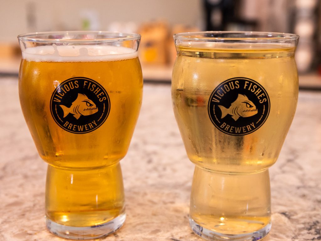 Two glasses of beer siting on a bar at Vicious Fishes Brewing in Apex, NC