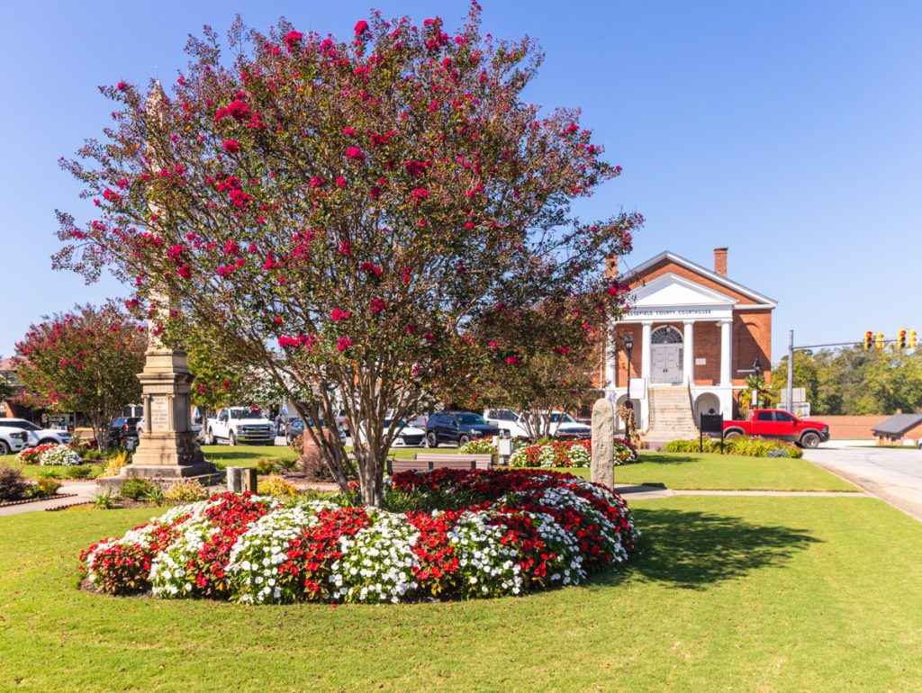 old court house on square with flowering trees