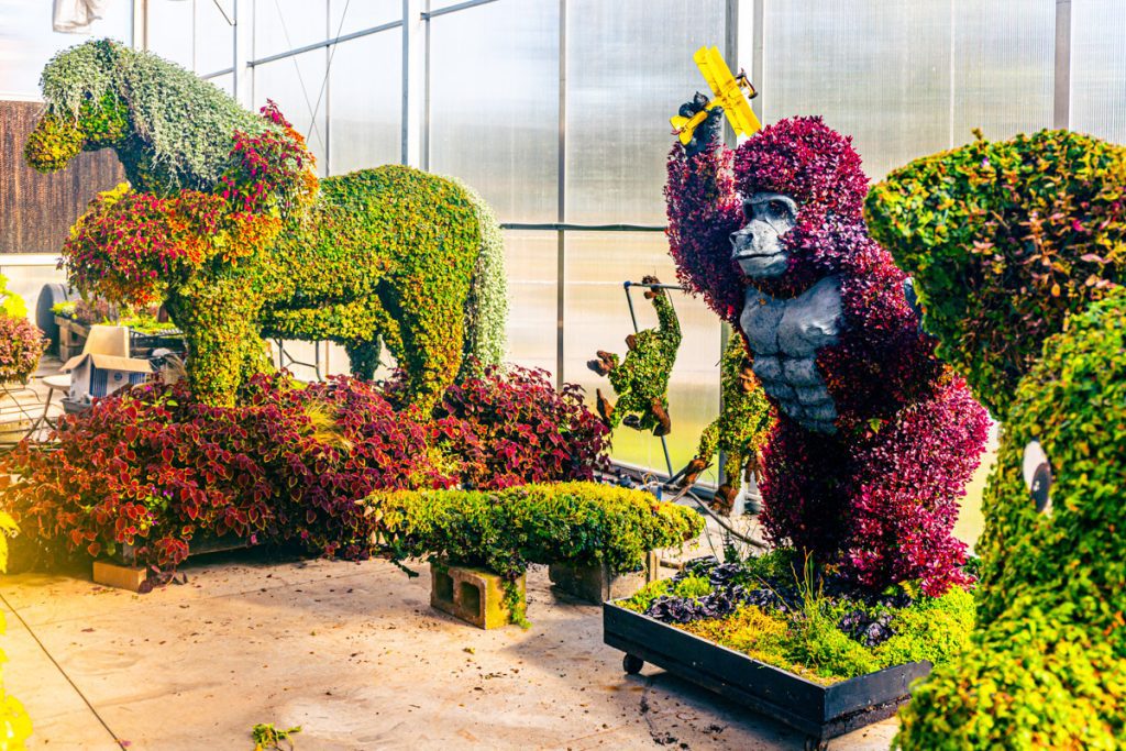 topiary gorilla