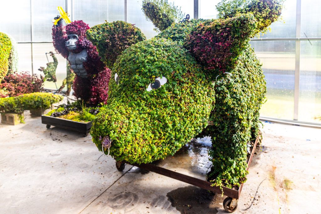 topiary flying pig