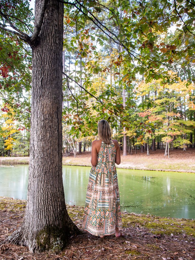woman standing beside pine tree looking at pond