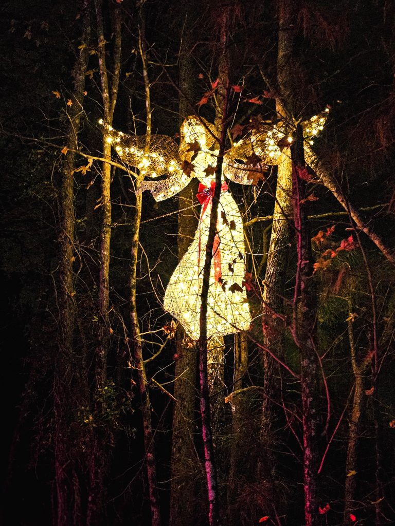 illuminated angel in tree